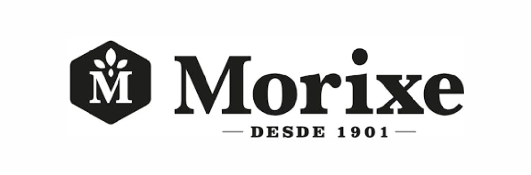 Logo Morixe